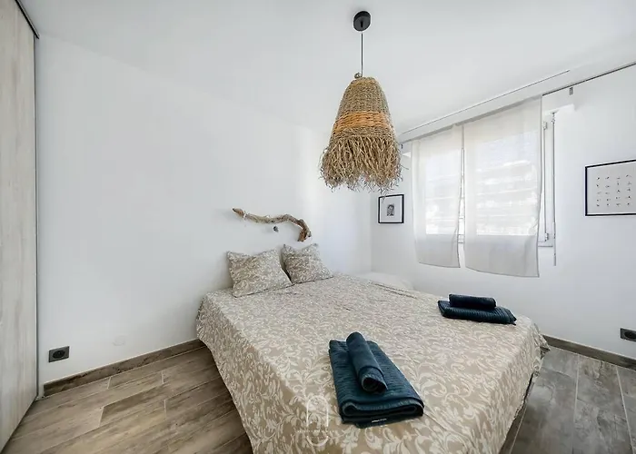 Appartement Centre-les Floralies T3/clim/garage/balcon By Hc *